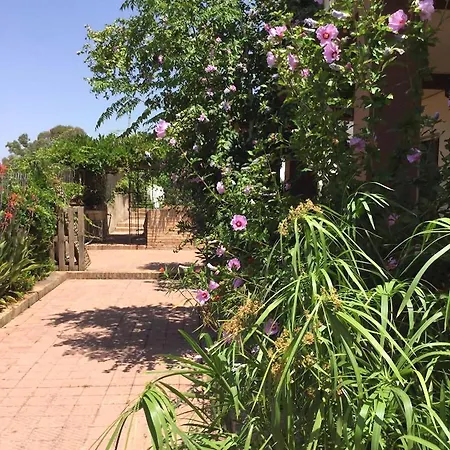 Bibi Villa